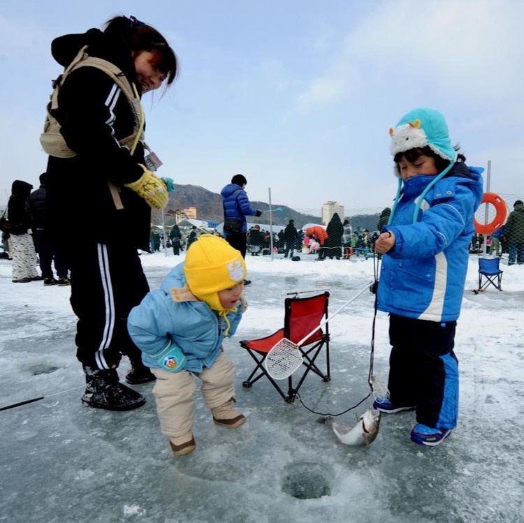 Pyeongchang Trout Festival Korea Tour Planner