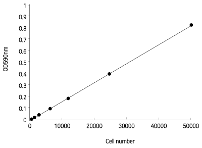 Mtt Assay Protocol Abcam Protocols