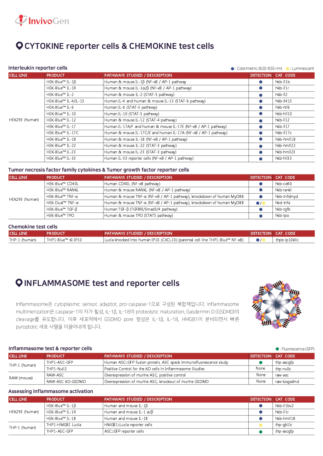 Invivogen Cell Line