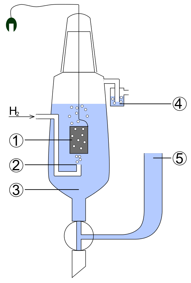 Standard Hydrogen Electrode She Reob