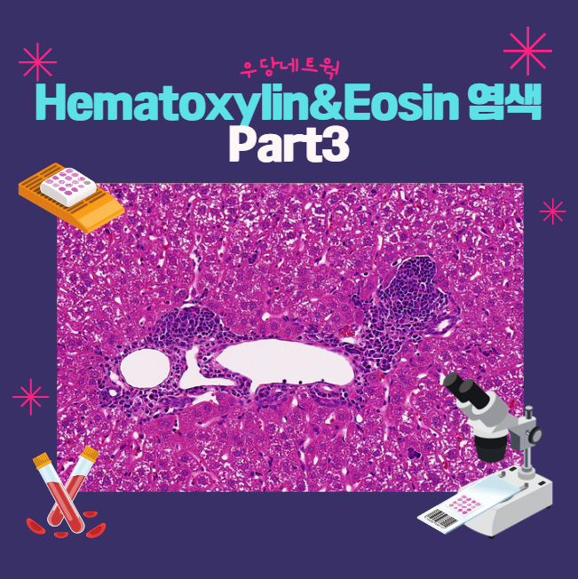 Hematoxylin Eosin Staining H E 염색 Part3 실험과정 Protocol Blog 우당네트웍