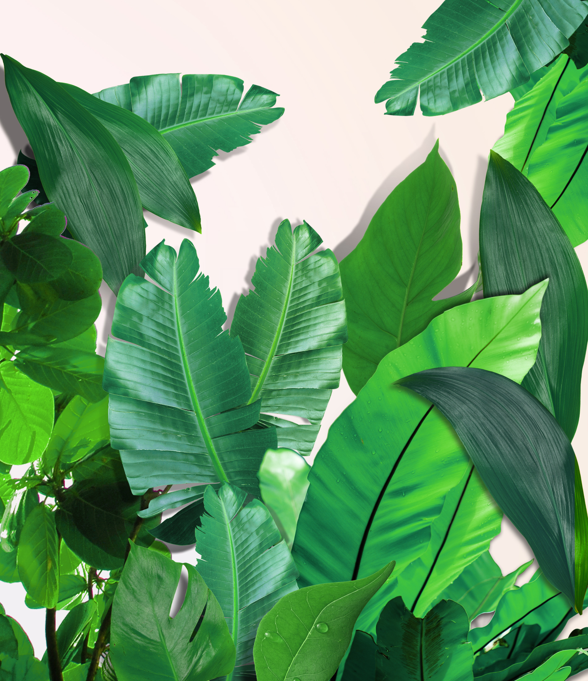 mobile background
