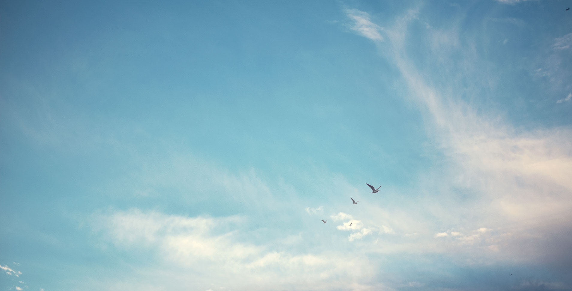 mobile background
