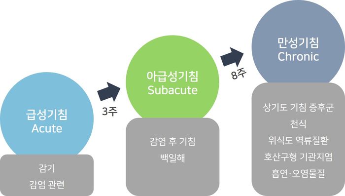 천식 흡입기의 종류