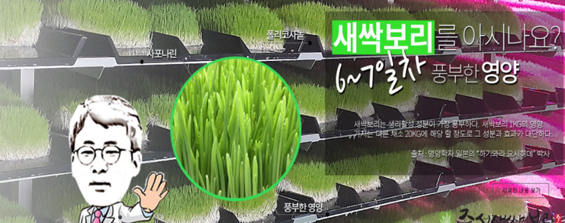 Ceo of Jusung Farm & Barley Sprout Growing System of Vertical Farming