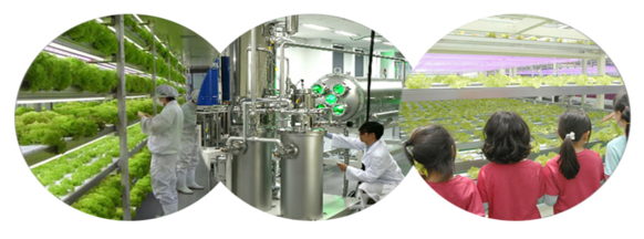 Growing System : Vertical Farming