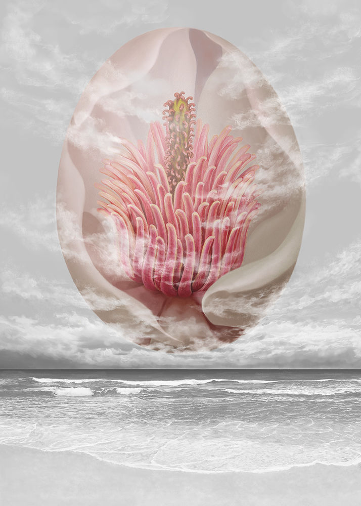 Egg  2014  Digital Painting 30x42Cm
