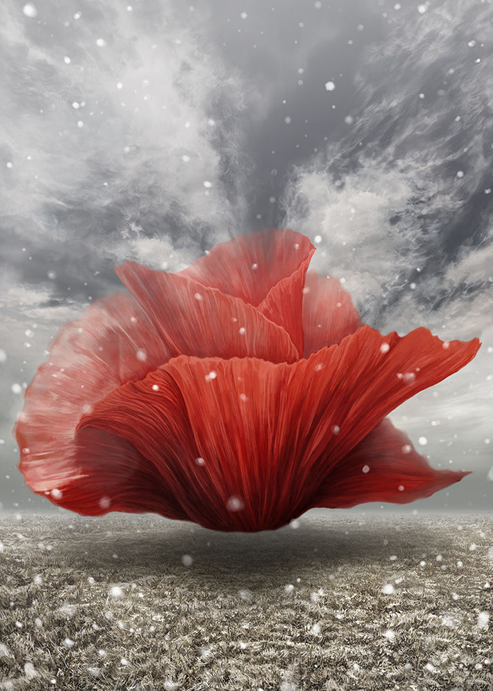 Bell  2014  Digital Painting 30x42Cm