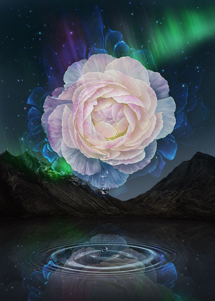Teardrop  2018  Digital Painting 50x70Cm