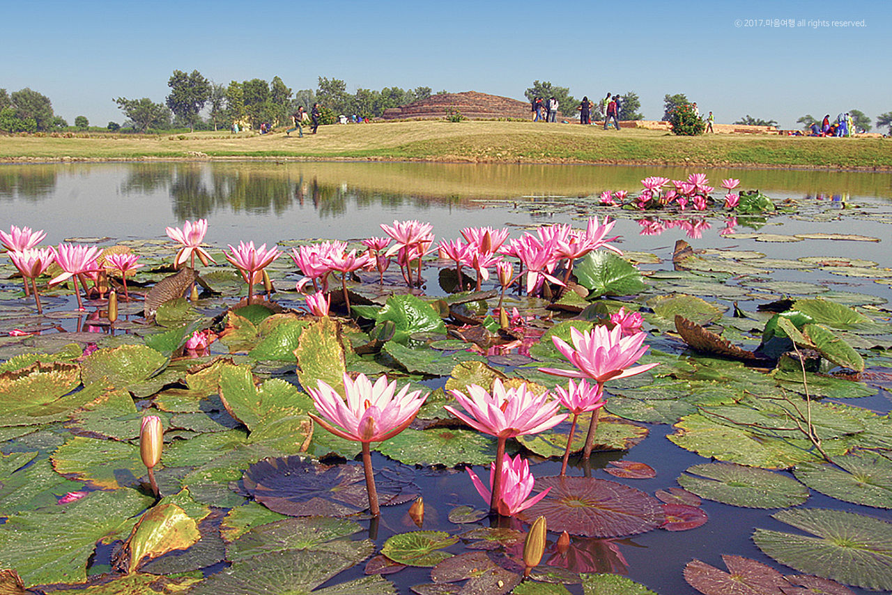 카필라성 부처님 진신사리탑과 연못
