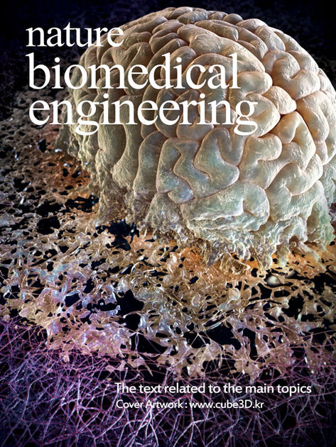 Nature Biomedical Engineering : Publishing News