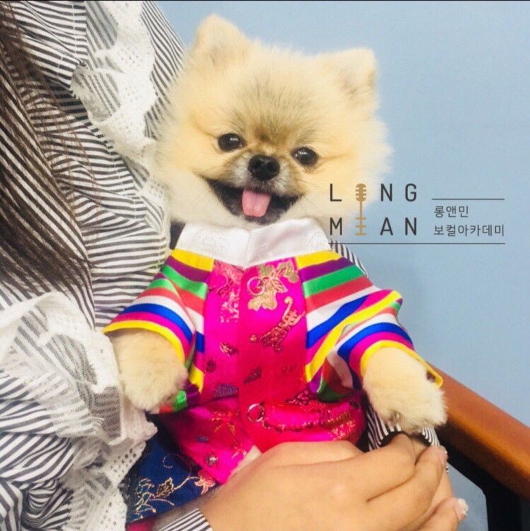 게시판 썸네일