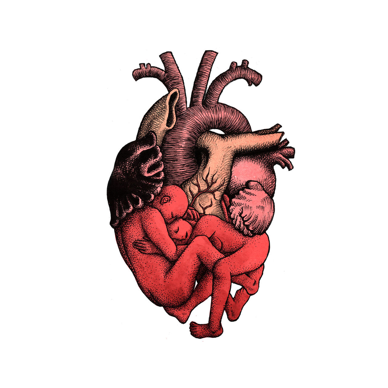 ANATOMY