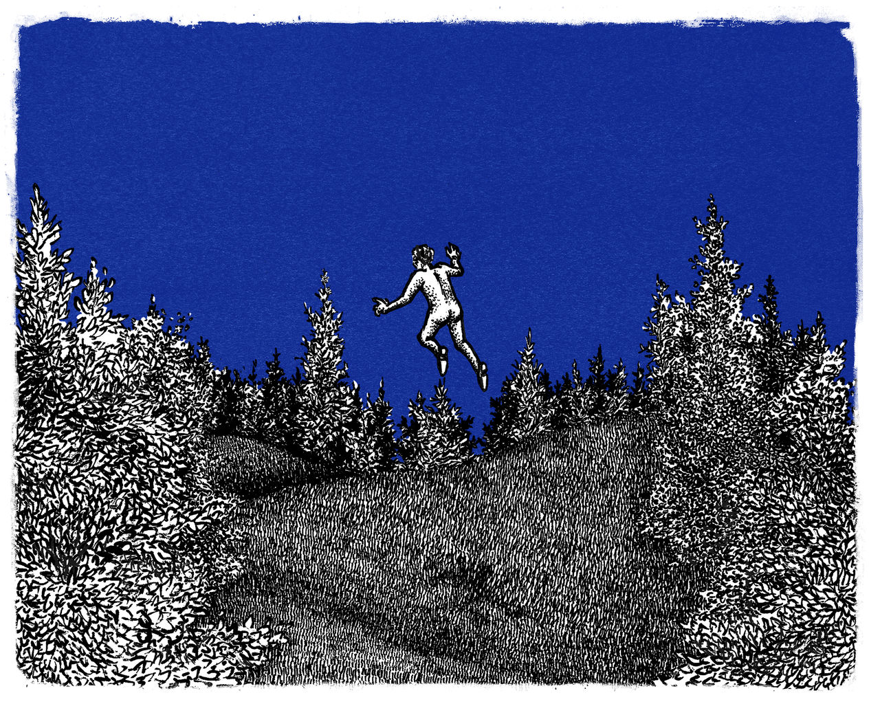 FLY1