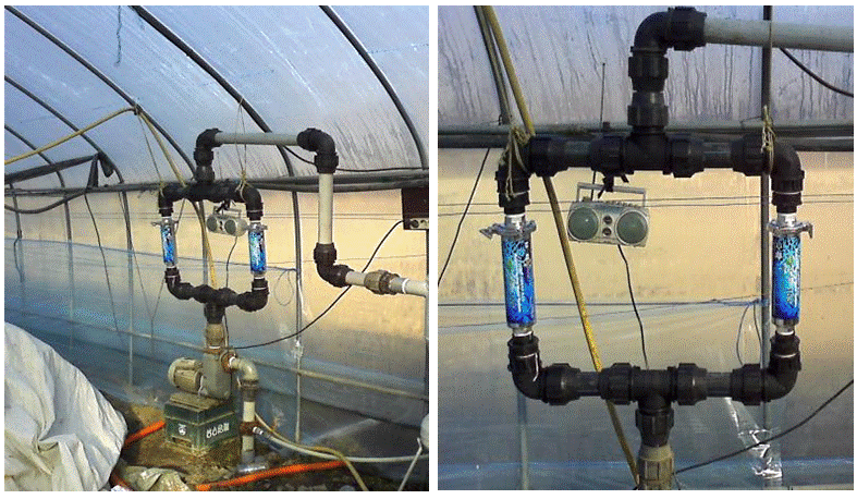 a lettuce farm - Chungyang : Cleanwater system