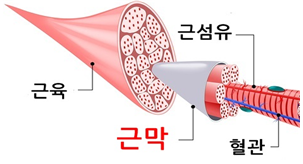 스테이포커스