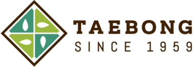 Taebong