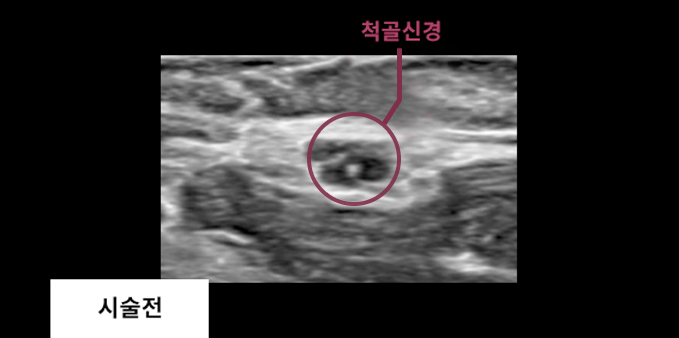 서울선 정형외과의원