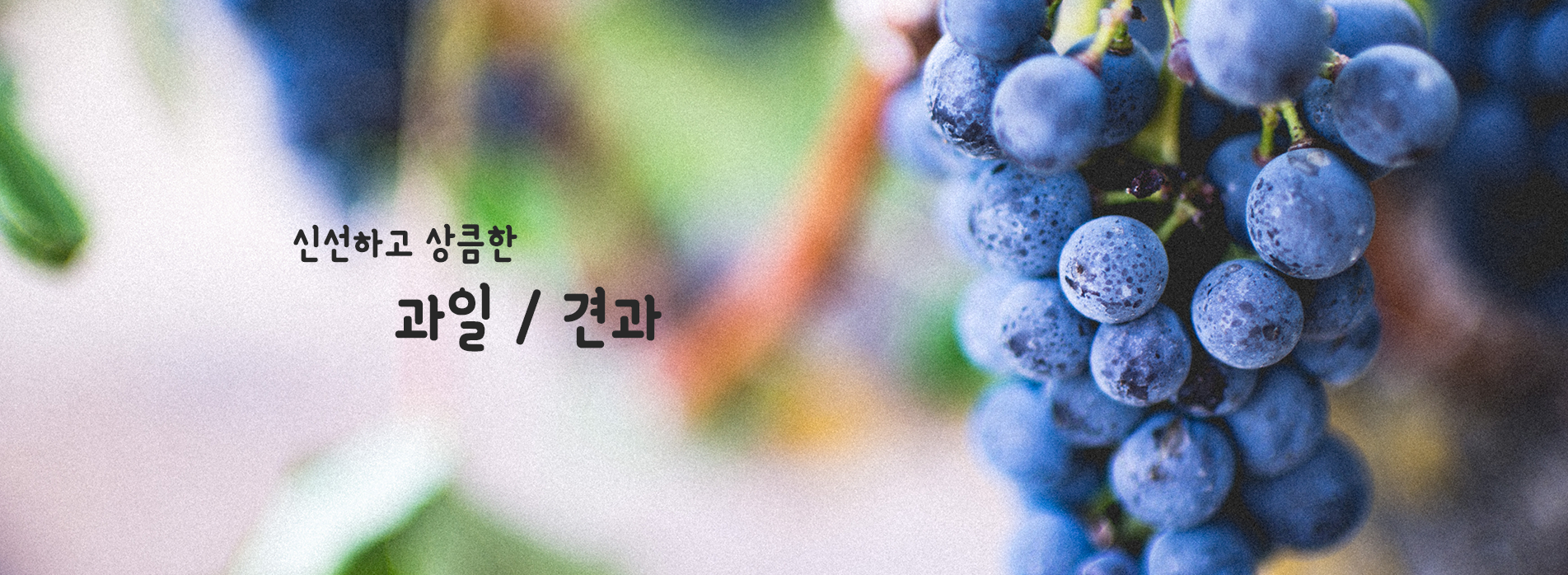 과일 / 견과