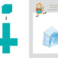Euler's Shapes