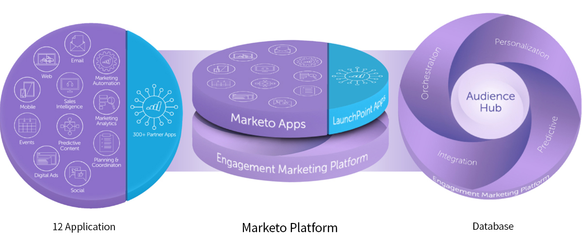 Marketo Platform