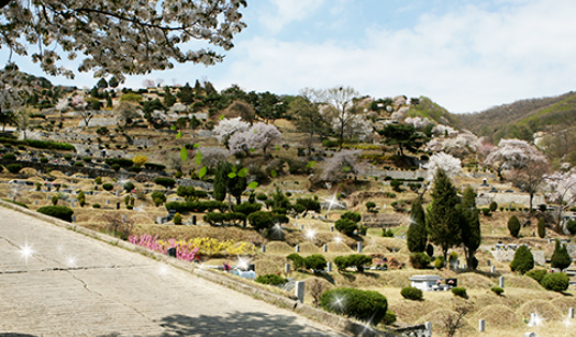 경기양주공원묘원
