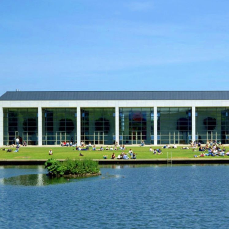 UCD University College Dublin 더유학