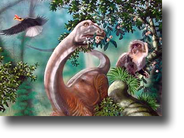 모켈레 므벰베, 살아 있는 공룡! : 화석-공룡 [한국창조과학회 자료실]