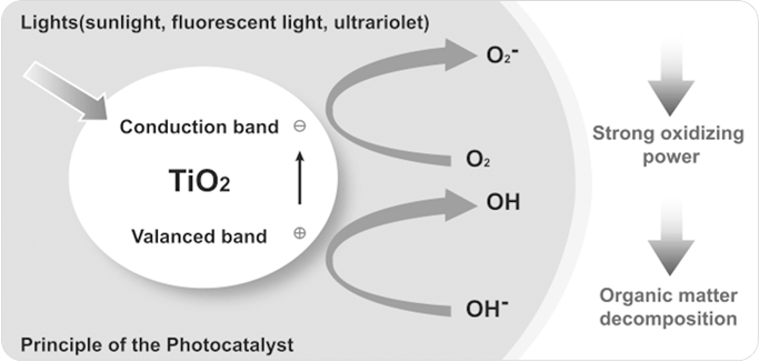 Biocera photocatalyst agent test image five