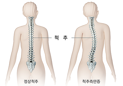 호호필라테스 장산점 이미지
