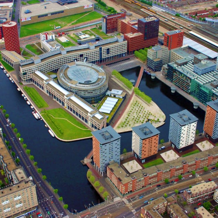 헤이그대학교 (The Hague University of Applied Sciences)