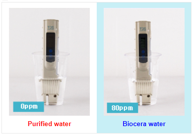 Biocera TDS test