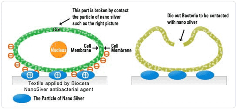 Biocera Nano Silver agent solution mechanism