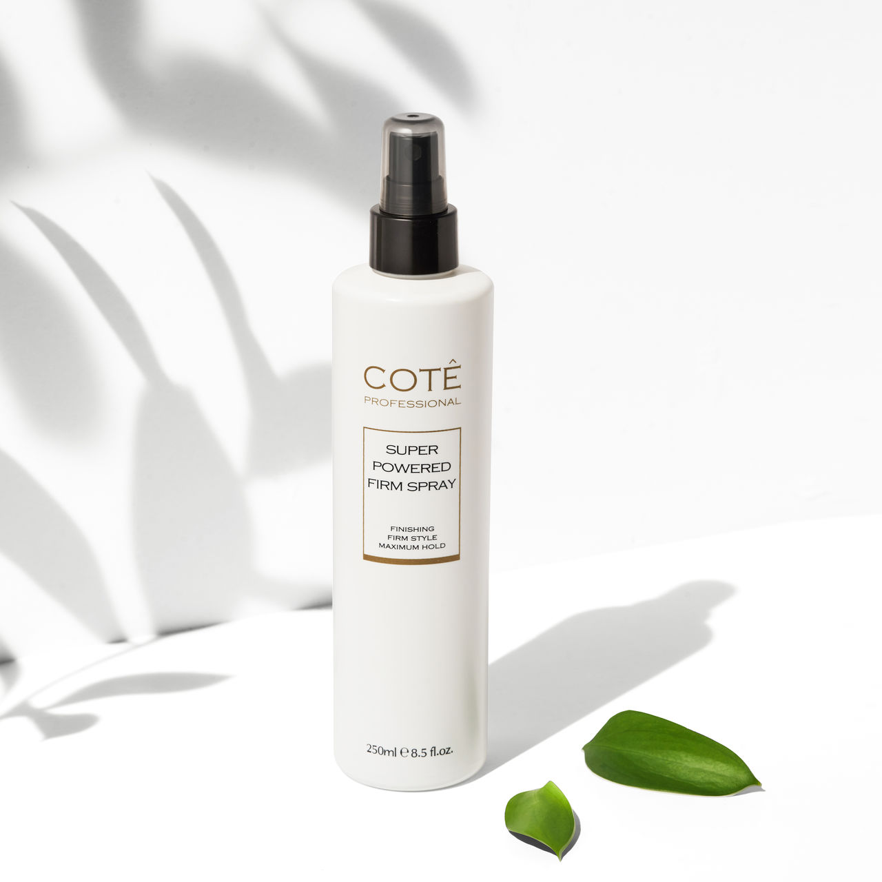 코티 프로페셔널