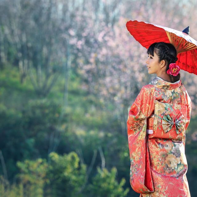 일본 호텔 보러가기(준비중)