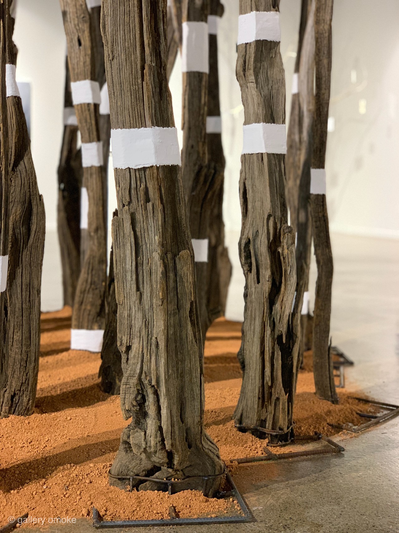 La Foret 숲 , Wood, Steel, Cast bandage, H190×W260cm, 36Pieces, 2019