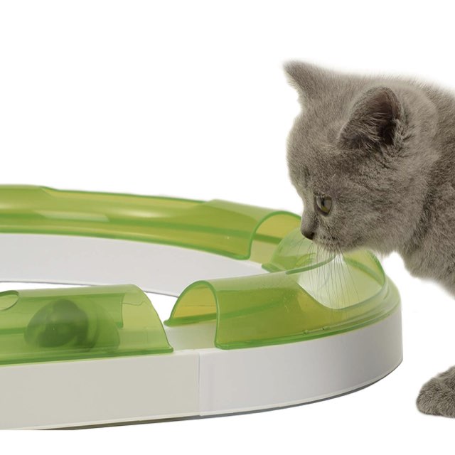 하겐 캣잇 센시스 2.0 플레이 서킷 고양이행동유발장난감 : 미유캣츠