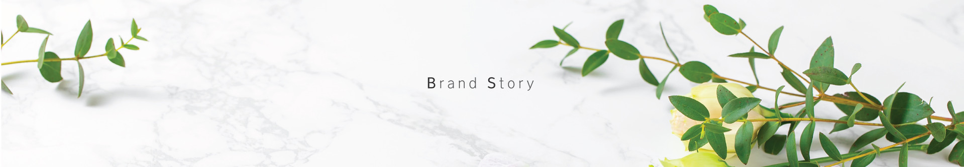 Brand Story