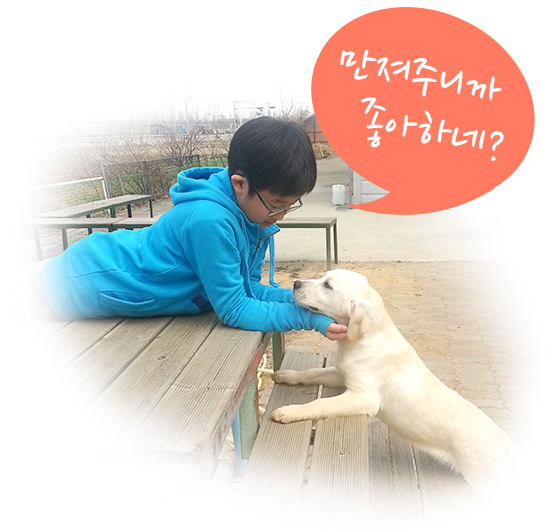박은영 동물매개치료연구소 박은영 동물매개치료연구소