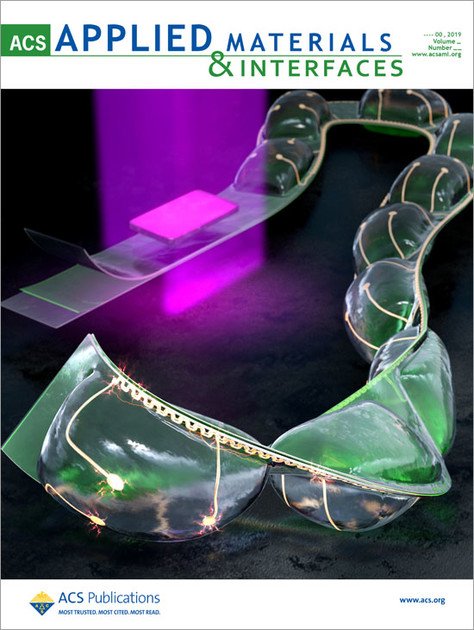 ACS_Applied Materials & Interfaces : Publishing News
