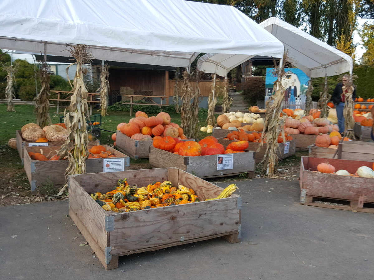 Abbotsford Barn에서 성주유학