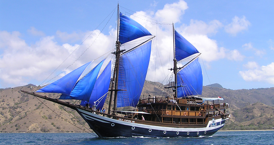 SEA SAFARI 7