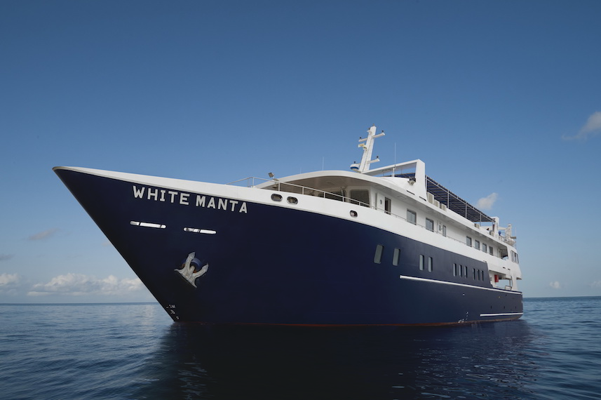 NEW WHITE MANTA