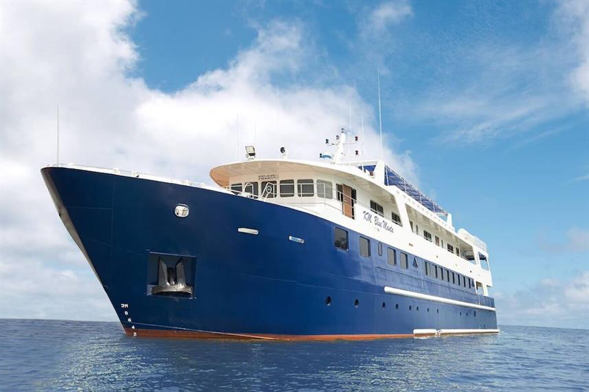 BLUE MANTA
