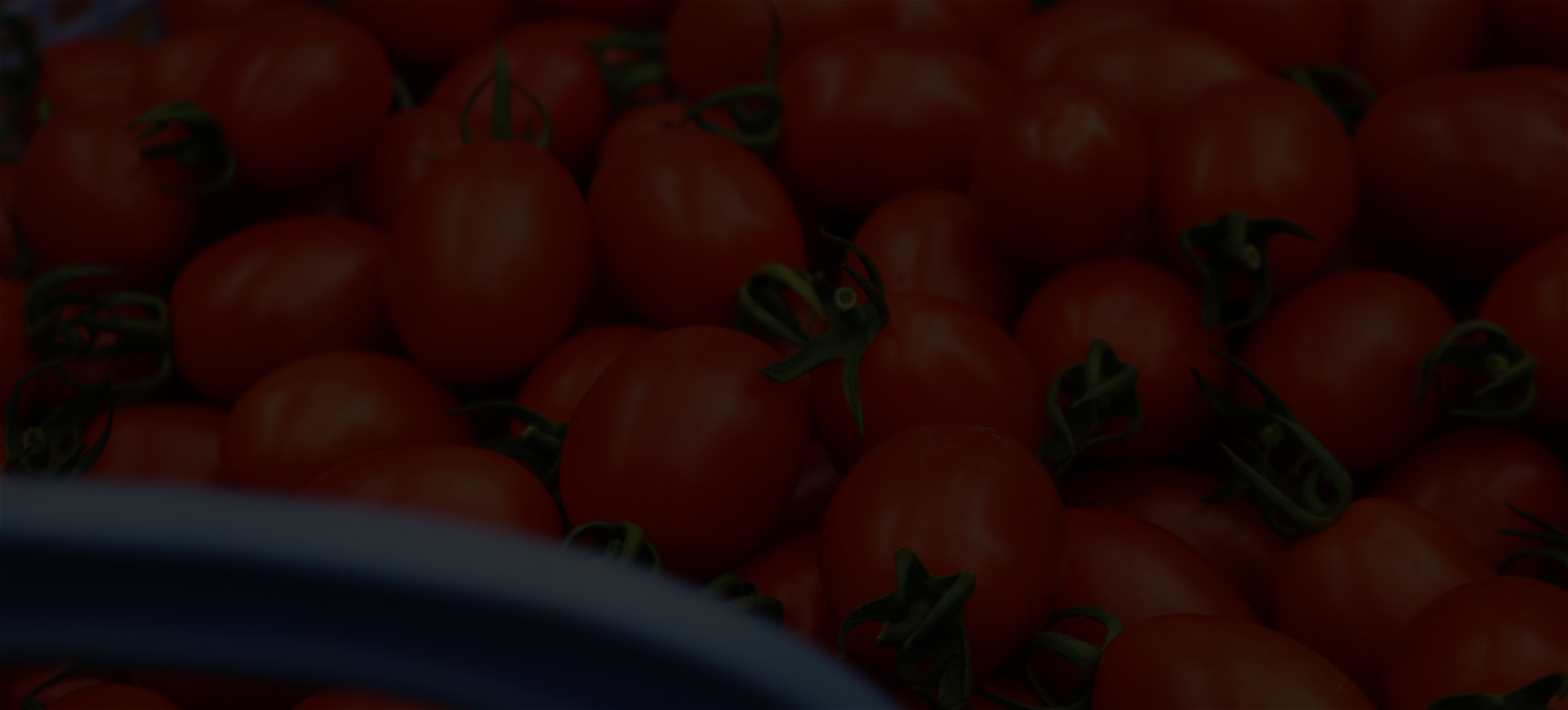 mobile background