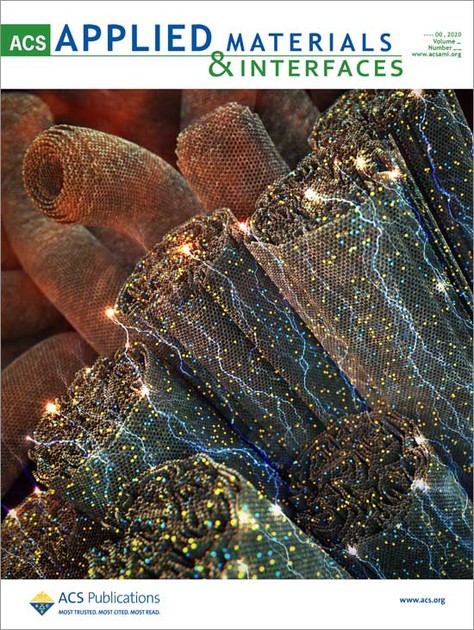 ACS_Applied Materials & Interfaces : Publishing News