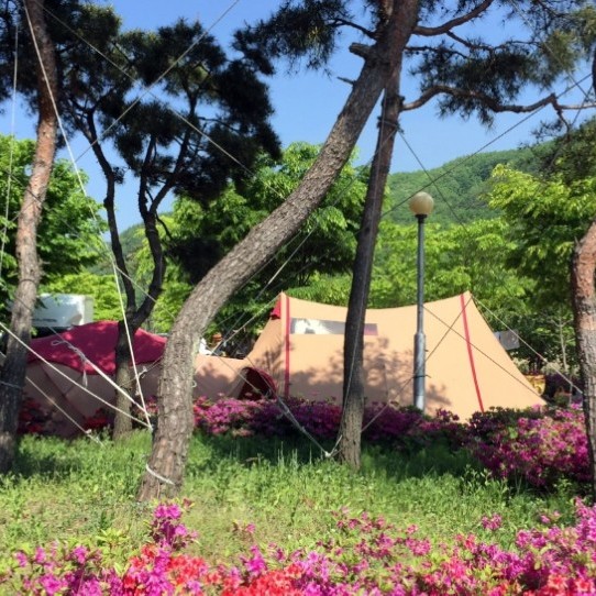 예약 상품 이미지