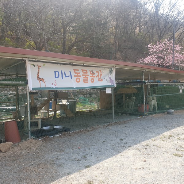 예약 상품 이미지