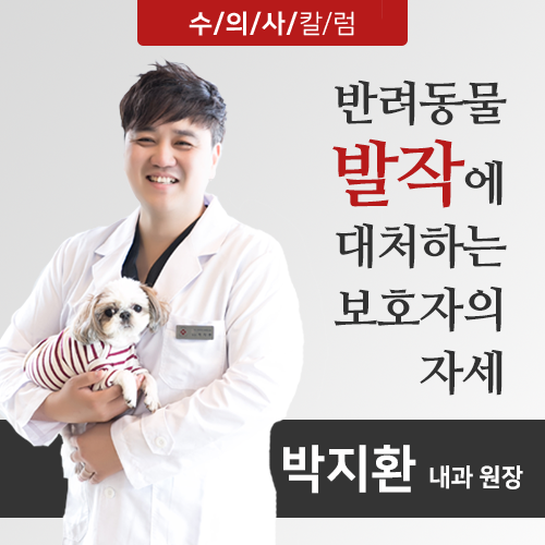 강아지 진찰차 송포동물병원에 왔습니다.