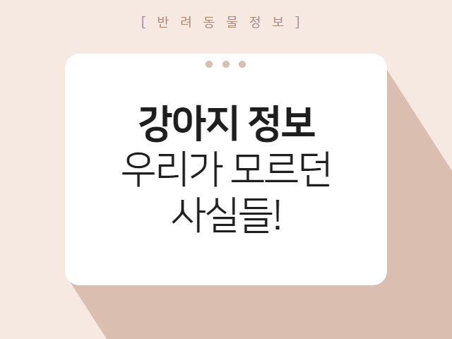 우리가 몰랐던 강아지정보! : 반려동물정보